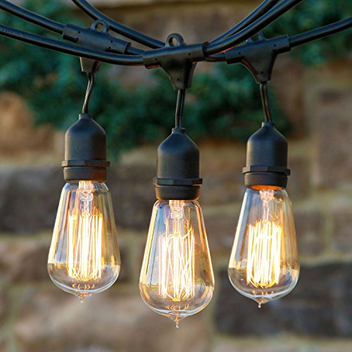 Brightech – Ambience Pro Vintage Edition Outdoor Commercial String Lights with Nostalgic Edison Bulbs – 48 Feet String Light with 15 Heavy Duty Molded Rubber Hanging Light Sockets – Create a Unique Retro Look and Feel – UL Listed for Indoor and Outdoor Use – Black Wire