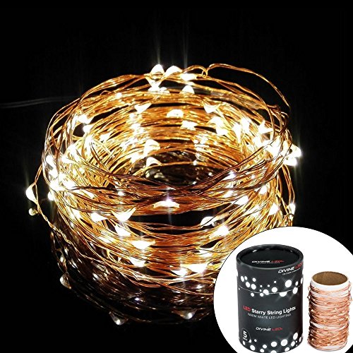 [Gorgeous String Lights] Copper Wire String Lights – Starry String Light – Soothing Decor – Elegant Rope Light -Suitable for Christmas, Weddings, Parties – Waterproof – (33FT 100 LEDs) Divine LEDs