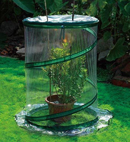 26″ High Portable Pop Up Greenhouse for small palnts/shrub – 26″H X 19.25″W