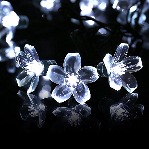 LuckLED Flower Solar String Lights, 21ft 50 LED Fairy Blossom Christmas Lights with Light Sensor for Outdoor, Homes, Gardens, Wedding, Parties and Holiday Decorations(Daylight White)