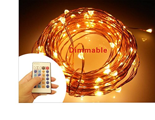 Pretty Dimmable Fairy Led String Lights with Remote Control (cooper wire) (Warm White) (33 ft 100 leds)