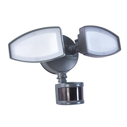 Good Earth Lighting SE1039-TBZ-02LF0-E Ecolight LED Motion Activated Security Flood Light