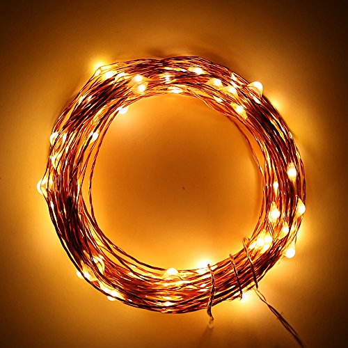 Addlon LED Starry Novelty LED String Lights，Decor Rope Flexible Copper Wire with 16.4ft，50leds AA Battery Powered for Outdoor and Indoor Environments,wedding,christmas Party (Warm White)