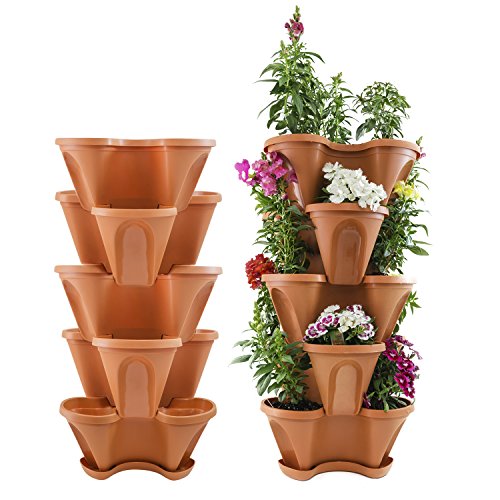 Houseables 5 Tier Planter, Stackable, 28″ H x 12″ W, Polypropylene, Terracotta, Vertical, Self-Watering, 5-Tiered Pots, Indoor/Outdoor Strawberry Garden Kit, For Flowers, Vegetables, Herbs, Gardening