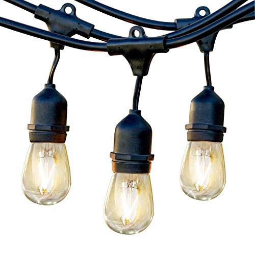 Brightech Ambience Pro LED Commercial Grade Outdoor Light Strand with Hanging Sockets – Dimmable 2 Watt Bulbs – 48 Ft Market Cafe Edison Vintage Bistro Weatherproof Strand for Porch Patio Garden -Blk