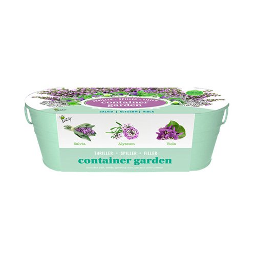 Countertop Herb Garden – Home Herb Garden – Kitchen Herb Garden – Flower Garden – Garden At Home – (Flower Container Garden)