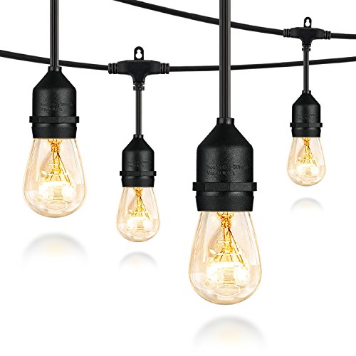 Salking 36FT Outdoor String Lights, Decorative Globe Commercial Waterproof String Lights with Edison Vintage Light Bulbs, Connectable Lights for Patio Garden Wedding Party Christmas (Double Fuse)