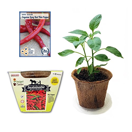 The Best Peppers All In One Seed Starter Kit – Includes Pepper Seeds, Coconut Fiber Pot and Coconut Fiber Soil Disc (Cayenne)