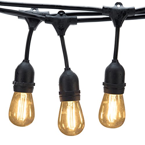 Generalight LED Commercial Grade Outdoor String Lights with 8 Hanging Sockets-2 Watt Bulbs – 24 Ft Market Cafe Edison Vintage Bistro Weatherproof Strand for Porch Patio Garden -Black