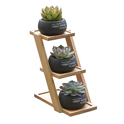 Succulent Gardening Planter Pot,3 in1 Round Decorative Flower Pot/Container/Flower Holder Bowl with Potted Garden Patio Display Plant Rack Flower Stand