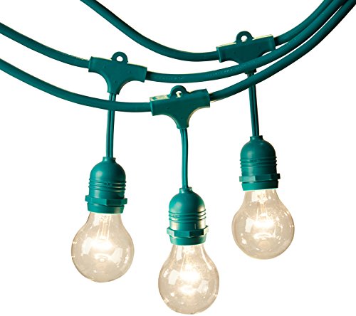 AmazonBasics Weatherproof Outdoor Patio String Lights G60 Bulb, Green, 48′