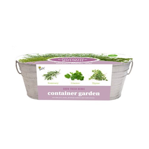 Countertop Herb Garden – Home Herb Garden – Kitchen Herb Garden – Flower Garden – Garden At Home – (Herb Container Garden)