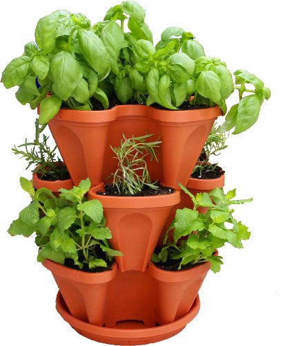 3 Tiered Stackable Indoor Outdoor Vertical Herb Planter – Learn How to Grow Organic Herbs Easy with These Terra Cotta Plastic Containers – Great Garden Planting Pots – Planters Also Used for Strawberries Peppers Flowers Tomatoes Succulents Green Beans Hydroponics – Free Growing Gardening Plant Tips