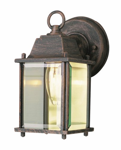 Trans Globe Lighting 40455 RT Outdoor Patrician 8″ Wall Lantern, Rust