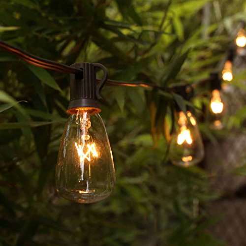 MYHH-LITES 20ft Outdoor Patio String lights with 21 ST35 Edison Bulbs(1 Extra), UL Listed for Indoor/Outdoor Decor, Perfect for Garden, Backyard, Pergola, Patio, Party, Cafe, Bistro, Wedding