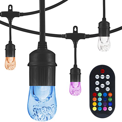 Enbrighten Seasons LED Warm White and Color Changing Café String Lights (24ft.), Wireless, 12 Lifetime Bulbs, Premium, Weatherproof, Indoor/Outdoor, Shatterproof, Commercial Grade, 36134