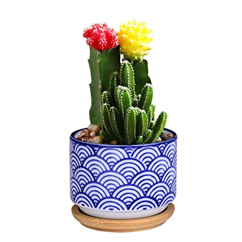 WITUSE succulent pot cactus pot cactus planter ceramic planter pots for cacti plants,japanese Style Bonsai