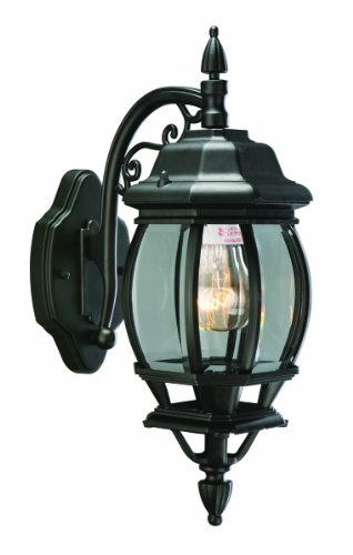 Design House 505545 Cantebury 1 Light Indoor/Outdoor Wall Light, Black