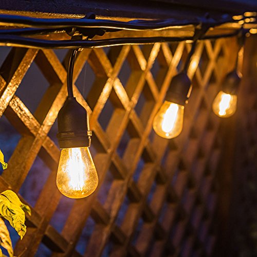 Outdoor String Lights 48 Feet-15 Sockets Led String of Lights for Patio,1W S14 Edison Bulb