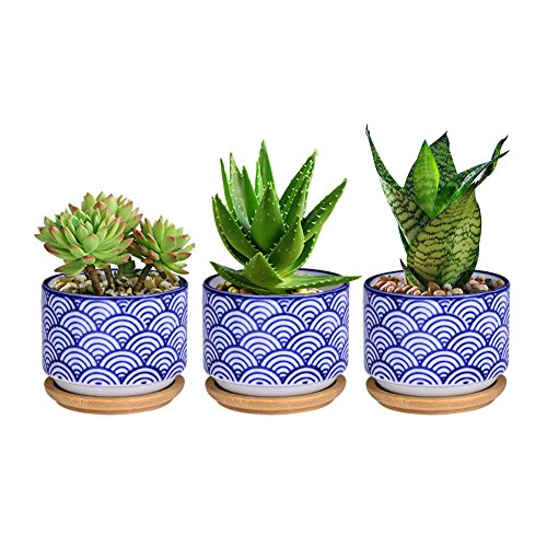 WITUSE succulent pot cactus pot cactus planter ceramic planter pots for cacti plants,japanese Style Bonsai-3 pcs