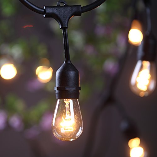 Outdoor Commercial String Lights- AMLIGHT 24 Ft Heavy Duty Weatherproof Lighting Strands- 14 Gauge Black Cable with 12 Hanging Sockets- 18 Bulbs- Perfect Patio Garden or Party