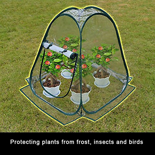 Miniature Greenhouse Kit Portable Pop Up Backyard Garden Shelter House Extends Plants Growing Season Vegetables Herbs Small Indoor Outdoor Gardening Flower Pot Cover Insect Frost Birds Protector Tent