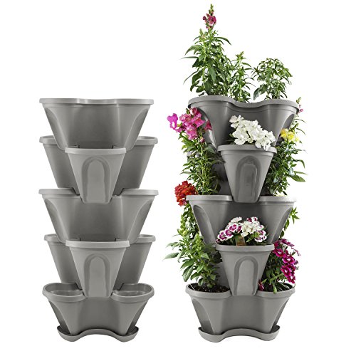 Houseables 5 Tier Planter, Stackable, 28″ H x 12″ W, Polypropylene, Grey, Vertical, Self-Watering, 5-Tiered Pots, Indoor/Outdoor Strawberry Garden Kit, For Flowers, Vegetables, Herbs, Gardening