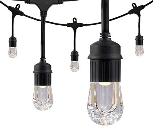 Enbrighten Classic LED Cafe String Lights, Black, 36 Foot Length, 18 Impact Resistant Lifetime Bulbs, Premium, Shatterproof, Weatherproof, Indoor/Outdoor, Commercial Grade, UL Listed, 33171