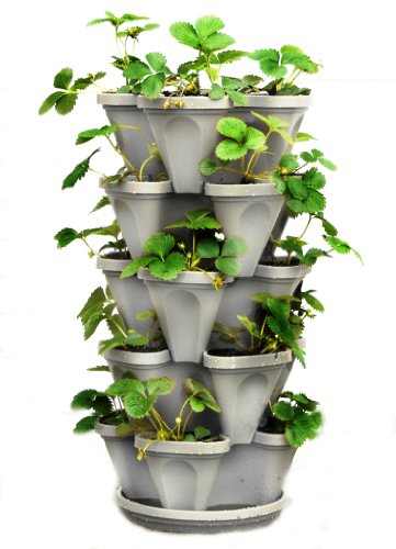 5 Tier Stackable Strawberry, Herb, Flower, and Vegetable Planter – Vertical Garden Indoor/Outdoor