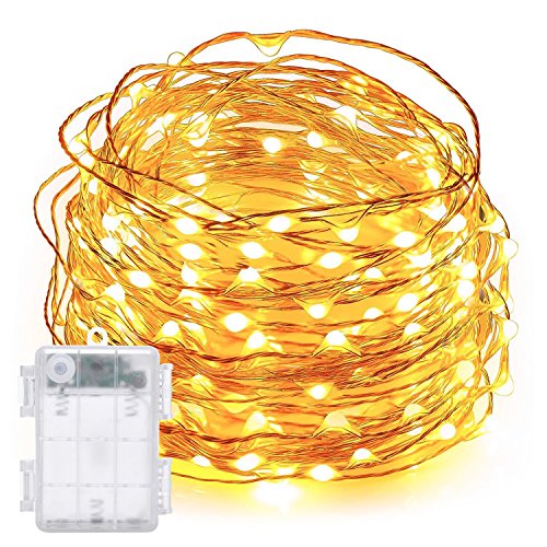 DecorNova 19.7ft 60-LED Battery Operated Starry String Lights with Timer and 3AA Battery Case, Copper Wire, Warm White