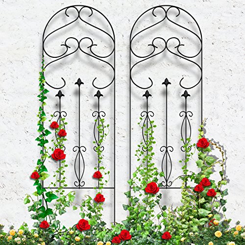 Amagabeli Garden Trellis for Climbing Plants 60″ x 18″ Rustproof Black Iron Potted Vines Vegetables Flowers Patio Metal Wire Lattices Grid Panels for Ivy Roses Cucumbers Clematis Pots Supports 2 Pack