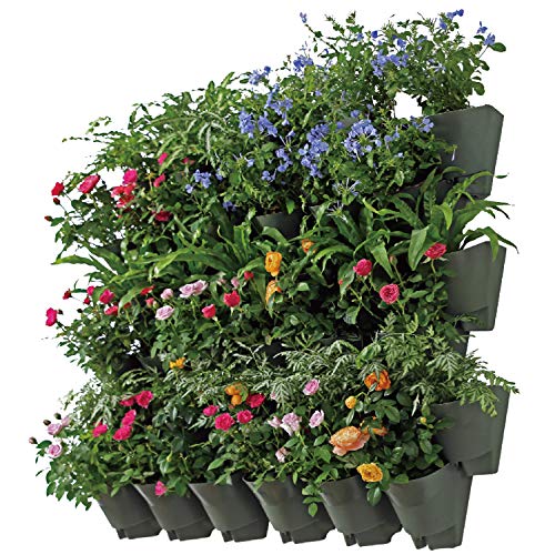 SELF Watering Vertical Wall Hangers with Pots Included – Wall Plant Hangers – Each Wall Mounted Hanging Pot has 3 Pockets – 36 Total Pockets in This Set – Self Watering Planter Set