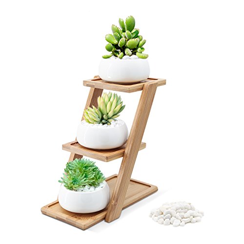 Puaida 3.15 Inch Small Modern Round White Ceramic Succulent Plant Pot, Planter for Succulent Plants, Small Cactus and Herbs with Bamboo Stand and Stone for Room Decor- Set of 3