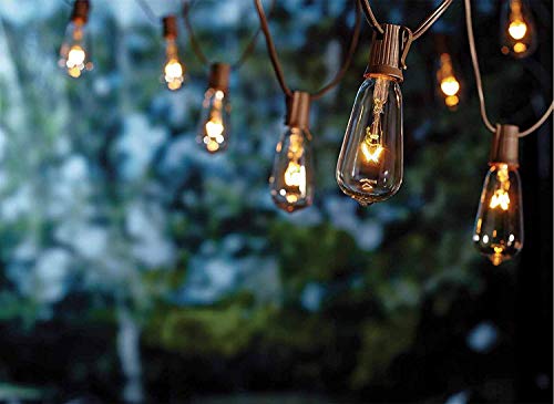 Goothy 20Ft Outdoor Patio String Lights,Set of 20 Glass ST40 Edison Style Bulb String Lights Garden/Backyard Party/Wedding Indoor String Lights(Plus 1 Extra Bulbs)-Brown