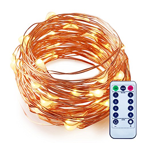 ITART Dimmable LED String Lights with Remote Warm White Mini Fairy Lights Battery Operated 50 LEDs / 16.7ft (5m) Super Bright Ultra Thin Silver Wire Rope Lights for Trees Wedding Bedroom