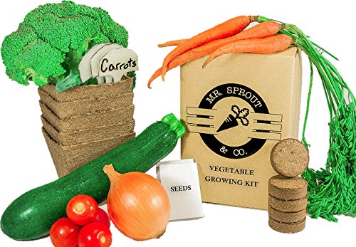 Mr. Sprout & Co Organic Vegetable Garden Kit – Vegetable Garden Seed Starter Kit for Kids, Adults Or Gift Idea- Includes Seeds for Cherry Tomatoes, Broccoli, Onions, Carrots, Zucchini