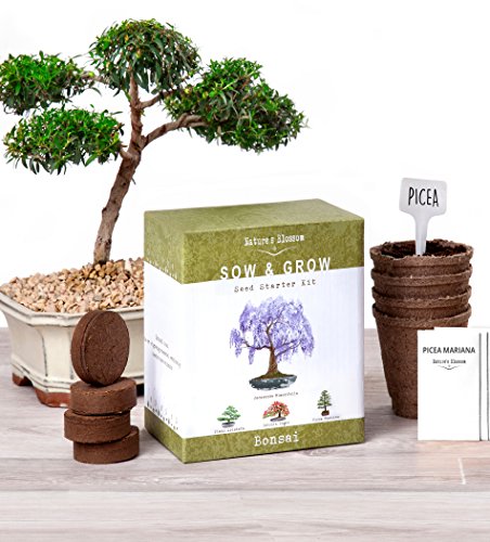 Nature’s Blossom Bonsai Garden Seed Starter Kit – Easily Grow 4 Types of Miniature Trees Indoors: A Complete Gardening Set Organic Seeds, Soil, Planting Pots, Plant Labels & Growing Guide. Unique Gift