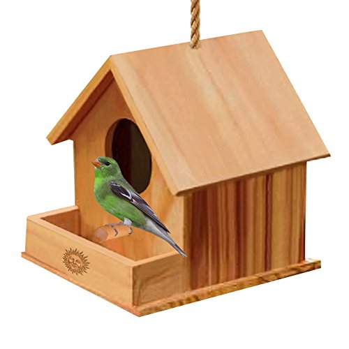 Paintable Bird House — Bird watching Made easy – Attracts small birds like finch, parakeet – Craft for kids, home decor, perfect Gifting option – Hang it indoors or outdoors – Durable construction