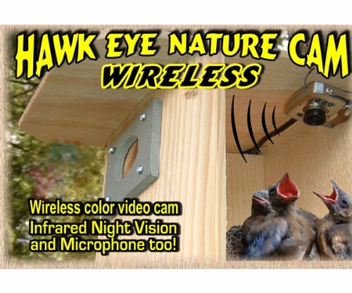Birdhouse Spy Cam BCAMHEW Hawk-Eye Wireless Spy Camera (Set of 1)
