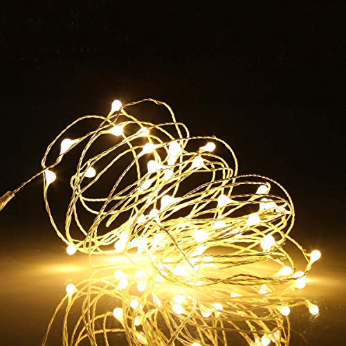Ehome 100 LED 33ft/10m Starry Fairy String Light, Waterproof Decorative Copper Wire Lights for Indoor, Bedroom Festival Christmas Wedding Party Patio Window with USB Interface (Warm White)