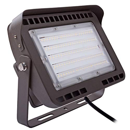 AntLux 100W LED Flood Lights Outdoor, 12000LM, 5700K Daylight White, Super Bright LED Floodlight, IP66 Waterproof Arena Perimeter and Security Lighting Fixture for Yard, Garden, Garage, Court