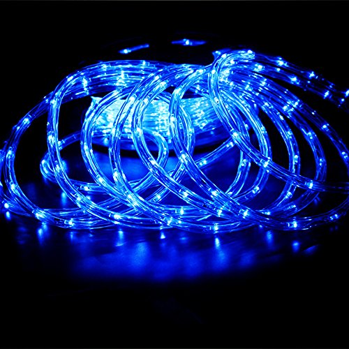 PYSICAL® 110V 2-Wire Waterproof LED Rope Light Kit for Background Lighting,Decorative Lighting,Outdoor Decorative Lighting,Christmas Lighting,Trees,Bridges,Eaves (50ft/15M, Blue)