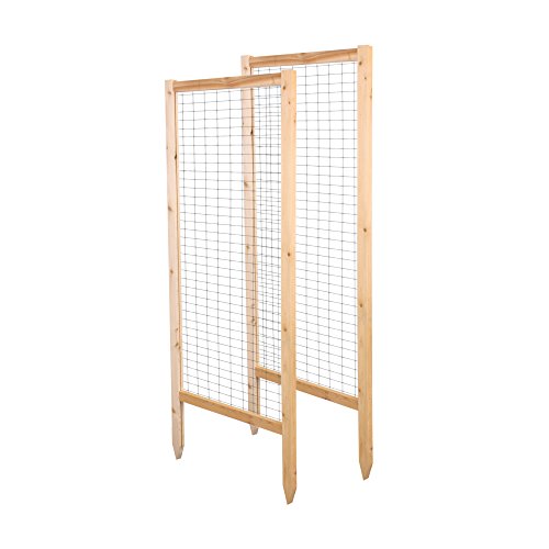 Greenes Fence RCCGT2PK Garden Trellis, 47.50″