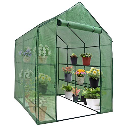 Mini Walk-in Greenhouse Indoor Outdoor -2 Tier 8 Shelves- Portable Plant Gardening Greenhouse (57″L x 57″W x 77″H), Grow Seeds & Seedlings, Herbs Flowers or Tend Potted Plants