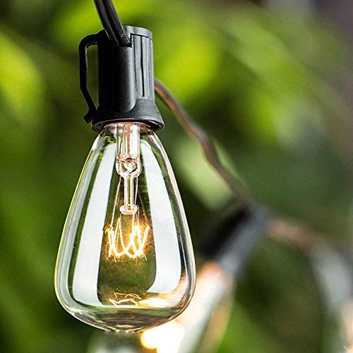 Monkeydg 25FT ST35 Outdoor Patio Edison String Lights with 27Clear Bulbs -5 Watt/120 Voltage/E12 Base -Black Wire