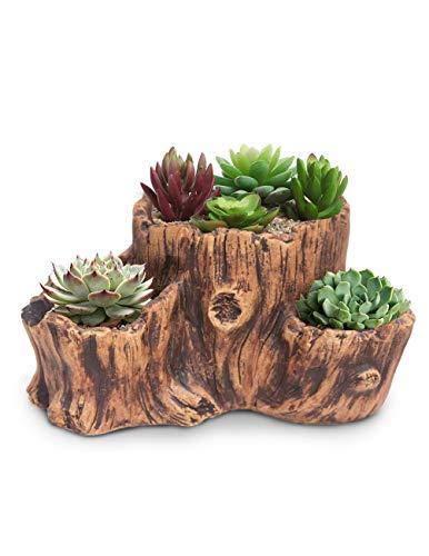 Dahlia Driftwood Stump Log Concrete Planter/Succulent Pot/Plant Pot, 10L x 7.7W