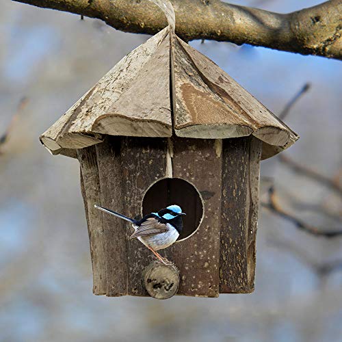 Flying Spoon Wooden Bird House Chickadee Wren Bird House Handmade from Eco Friendly Materials