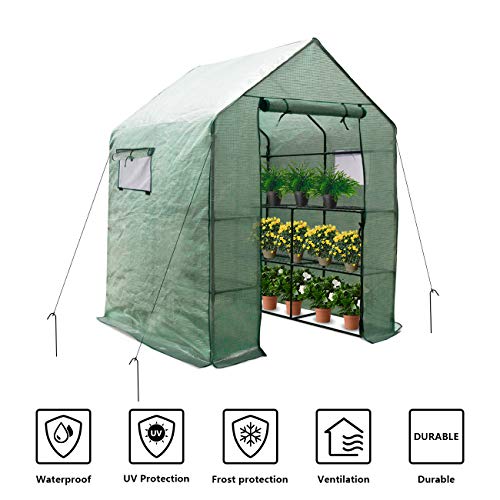 Large Portable Walk-in Plant Greenhouse with PE Cover, 2 Tiers 8 Shelves Waterproof Gardening Steeple Greenhouse, Window Version and Roll-Up Zipper Door (56″ W x 56″ D x 77″ H Inch)