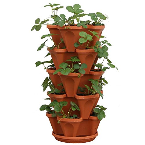 5-Tier Strawberry and Herb Garden Planter – Stackable Gardening Pots with 10 Inch Saucer (Terra-Cotta)