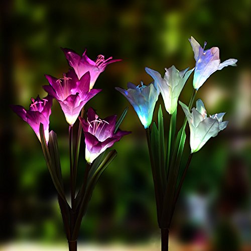 Outdoor Solar Garden Stake Lights – 2 Pack Solarmart Solar Powered Lights with 8 Lily Flower, Multi-color Changing LED Solar Stake Lights for Garden, Patio, Backyard (Purple and White)